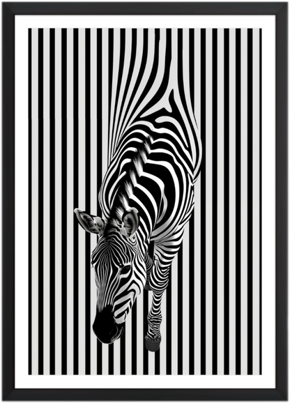 Black&White Environment