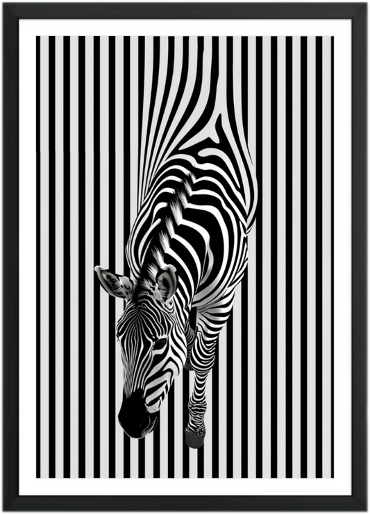 Black&White Environment